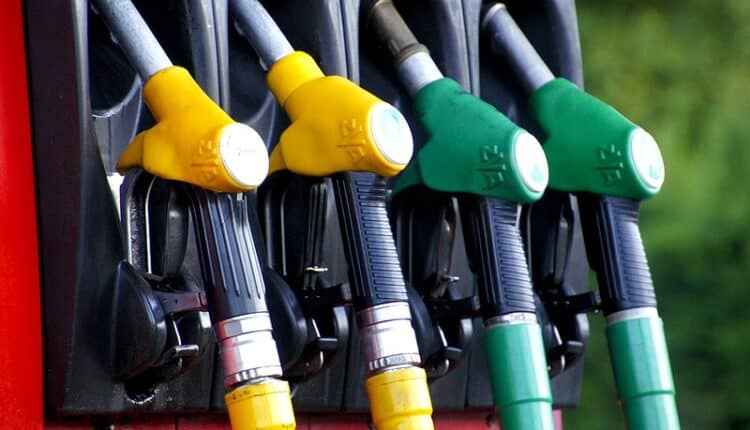 Gasolina para motor 2 tiempos