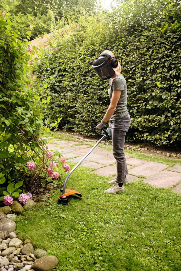 Desbrozadora Stihl FS 38